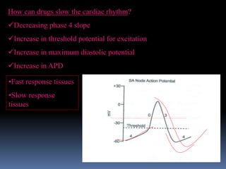 How can drugs slow the cardiac rhythm?
Decreasing phase 4 slope
Increase in threshold potential for excitation
Increase in maximum diastolic potential
Increase in APD
•Fast response tissues
•Slow response
tissues
 