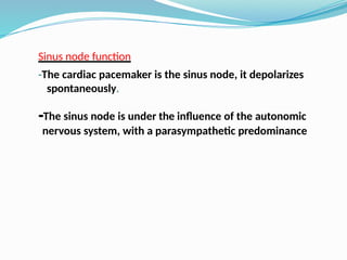 Sinus node function
-The cardiac pacemaker is the sinus node, it depolarizes
spontaneously.
-The sinus node is under the influence of the autonomic
nervous system, with a parasympathetic predominance
 