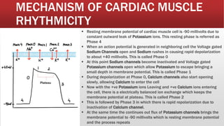 Cardiac Rmp Cardiac arrhythmia and anti arrhythmic drugs | PPTX