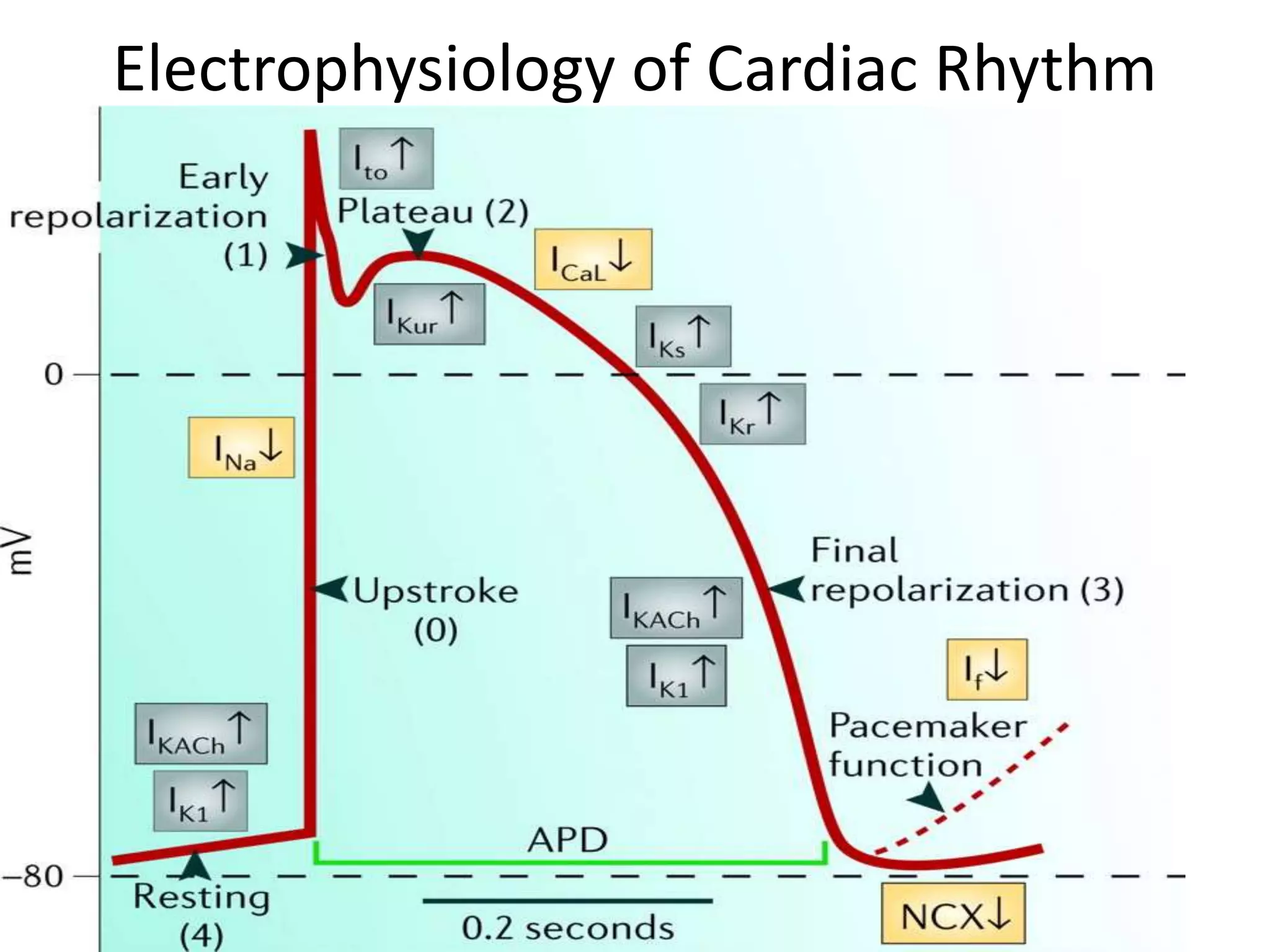 Cardiac arrhythmias--- pharmacotherapeutics-I | PPTX