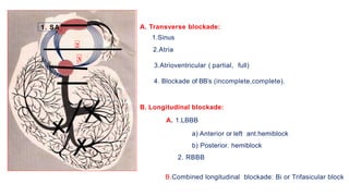 Transverse Blocking CARDIAC ARRTHYMIAs PART 2 BY DR. QAZI IMTIAZ RASOOL | PPTX