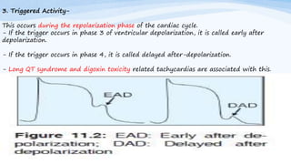 3. Triggered Activity-
This occurs during the repolarization phase of the cardiac cycle.
- If the trigger occurs in phase 3 of ventricular depolarization, it is called early after
depolarization.
- If the trigger occurs in phase 4, it is called delayed after-depolarization.
- Long QT syndrome and digoxin toxicity related tachycardias are associated with this.
mechanism.
 