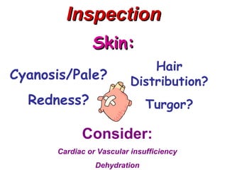Inspection
               Skin:
                              Hair
Cyanosis/Pale?            Distribution?
  Redness?                    Turgor?

            Consider:
      Cardiac or Vascular insufficiency
                Dehydration
 