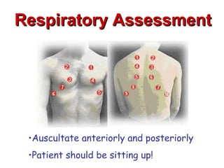 Respiratory Assessment




 •Auscultate anteriorly and posteriorly
 •Patient should be sitting up!
 