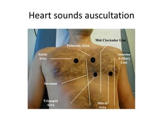 Heart sounds auscultation

 
