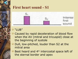 First heart sound - S1
 “LUB”
 Caused by rapid deceleration of blood flow
when the AV (mitral and tricuspid) close at
the beginning of systole
 Dull, low-pitched, louder than S2 at the
mitral area
 Best heard and 4th
intercostal space left of
the sternal border and apex
 