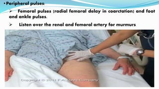 •Peripheral pulses:
 Femoral pulses (radial femoral delay in coarctation) and foot
and ankle pulses.
 Listen over the renal and femoral artery for murmurs.
 