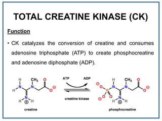 TOTAL CREATINE KINASE (CK)
Function
• CK catalyzes the conversion of creatine and consumes
adenosine triphosphate (ATP) to create phosphocreatine
and adenosine diphosphate (ADP).
 