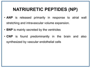 NATRIURETIC PEPTIDES (NP)
• ANP is released primarily in response to atrial wall
stretching and intravascular volume expansion.
• BNP is mainly secreted by the ventricles
• CNP is found predominantly in the brain and also
synthesized by vascular endothelial cells
 