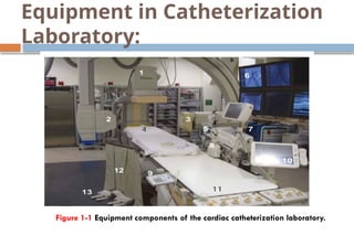 Cardiac catherization / diagnosing hearts internal functions | PPTX