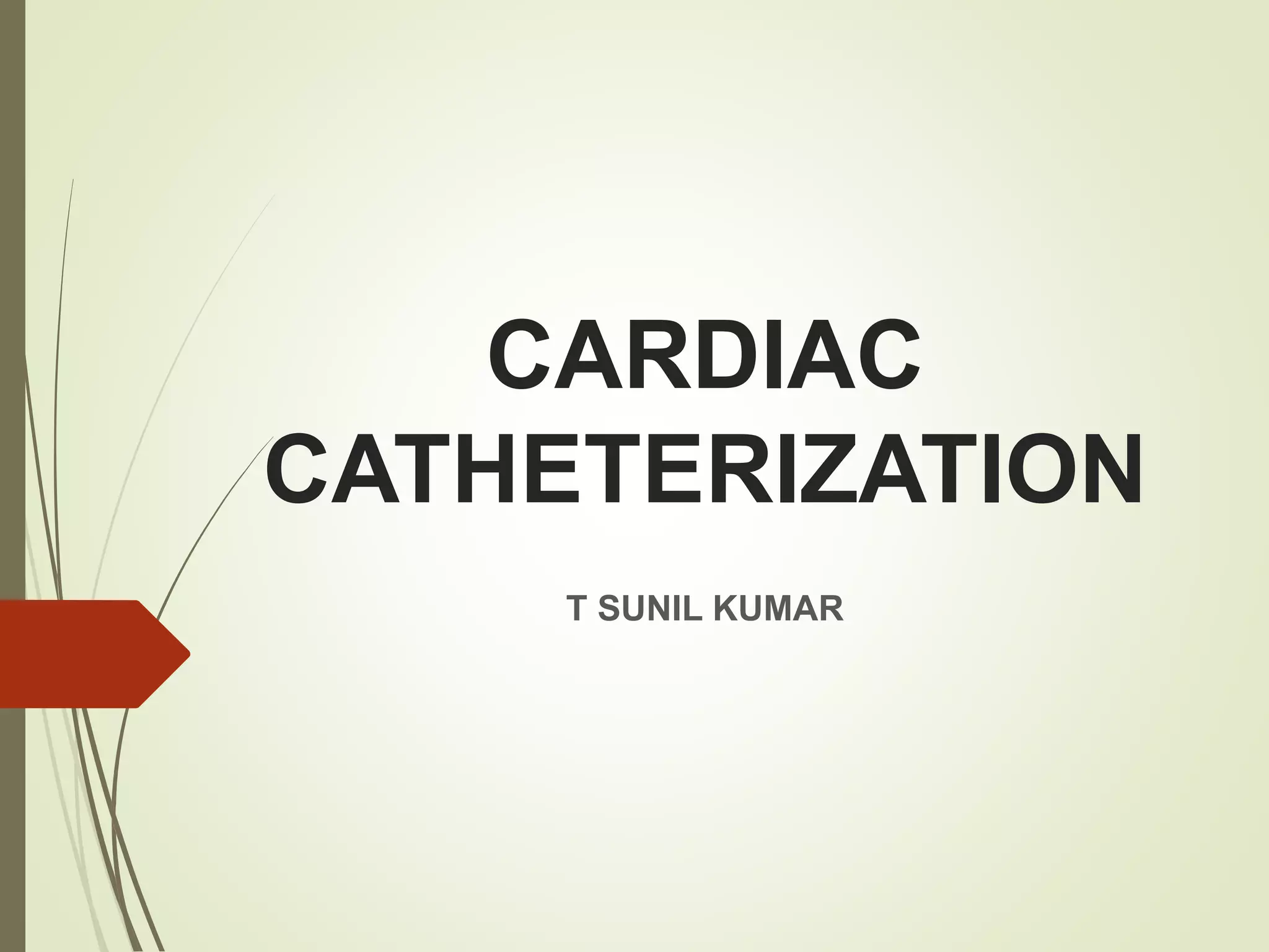 Cardiac Catheterization Procedures Explained PPT