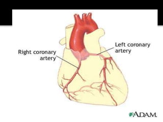 cardiac catheterization(1).pptx