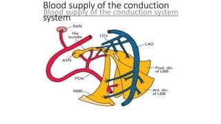 cardiac conduction system.pptx