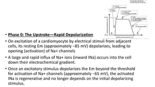 cardiac conduction system.pptx