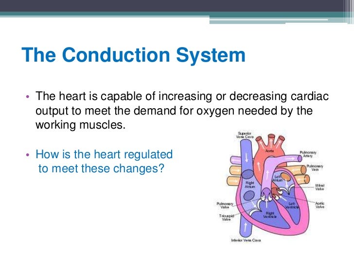 Cardiac Control Centre