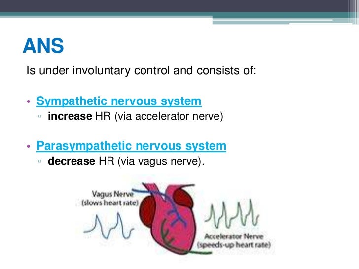 Cardiac Control Centre