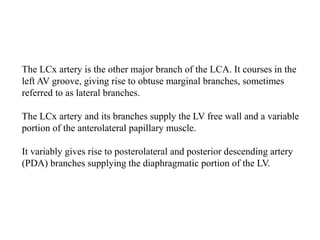 The LCx artery is the other major branch of the LCA. It courses in the
left AV groove, giving rise to obtuse marginal branches, sometimes
referred to as lateral branches.
The LCx artery and its branches supply the LV free wall and a variable
portion of the anterolateral papillary muscle.
It variably gives rise to posterolateral and posterior descending artery
(PDA) branches supplying the diaphragmatic portion of the LV.
 