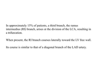 In approximately 15% of patients, a third branch, the ramus
intermedius (RI) branch, arises at the division of the LCA, resulting in
a trifurcation.
When present, the RI branch courses laterally toward the LV free wall.
Its course is similar to that of a diagonal branch of the LAD artery.
 