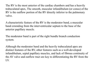 The RV is the most anterior of the cardiac chambers and has a heavily
trabeculated apex, The smooth, muscular infundibulum (or conus) of the
RV is the outflow portion of the RV directly inferior to the pulmonary
valve.
A characteristic feature of the RV is the moderator band, a muscular
band extending from the interventricular septum to the base of the
anterior papillary muscle.
The moderator band is part of the right bundle branch conduction
system.
Although the moderator band and the heavily trabeculated apex are
distinct features of the RV, other features such as a well-developed
infundibulum, septal papillary muscles, and lack of fibrous continuity of
the AV valve and outflow tract are key to differentiating the RV from the
LV.
 