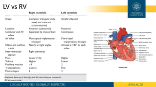 CARDIAC CT ANATOMY Book Reading Rahmat Muliawan | PPTX