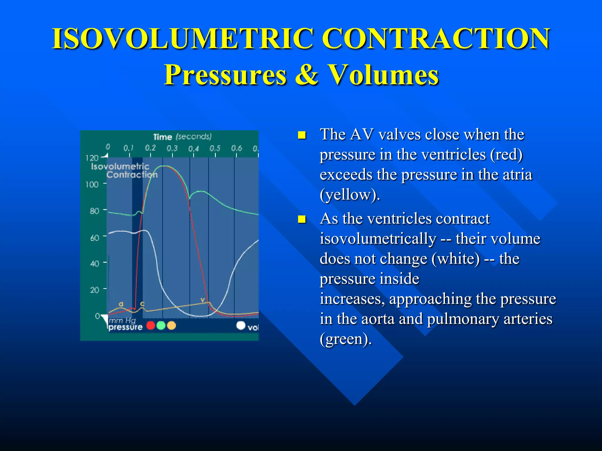 Isometric Volume Cardiac cycle | PPT