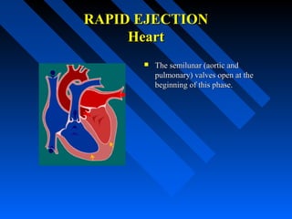 RAPID EJECTIONRAPID EJECTION
HeartHeart
 The semilunar (aortic andThe semilunar (aortic and
pulmonary) valves open at thepulmonary) valves open at the
beginning of this phase.beginning of this phase.
 