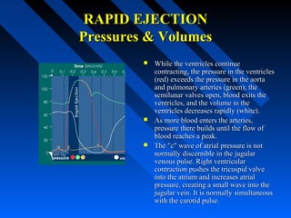 RAPID EJECTIONRAPID EJECTION
Pressures & VolumesPressures & Volumes
 While the ventricles continueWhile the ventricles continue
contracting, the pressure in the ventriclescontracting, the pressure in the ventricles
(red) exceeds the pressure in the aorta(red) exceeds the pressure in the aorta
and pulmonary arteries (green); theand pulmonary arteries (green); the
semilunar valves open, blood exits thesemilunar valves open, blood exits the
ventricles, and the volume in theventricles, and the volume in the
ventricles decreases rapidly (white).ventricles decreases rapidly (white).
 As more blood enters the arteries,As more blood enters the arteries,
pressure there builds until the flow ofpressure there builds until the flow of
blood reaches a peak.blood reaches a peak.
 The "c" wave of atrial pressure is notThe "c" wave of atrial pressure is not
normally discernible in the jugularnormally discernible in the jugular
venous pulse. Right ventricularvenous pulse. Right ventricular
contraction pushes the tricuspid valvecontraction pushes the tricuspid valve
into the atrium and increases atrialinto the atrium and increases atrial
pressure, creating a small wave into thepressure, creating a small wave into the
jugular vein. It is normally simultaneousjugular vein. It is normally simultaneous
with the carotid pulse.with the carotid pulse.
 