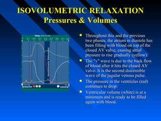 ISOVOLUMETRIC RELAXATIONISOVOLUMETRIC RELAXATION
Pressures & VolumesPressures & Volumes
 Throughout this and the previousThroughout this and the previous
two phases, the atrium in diastole hastwo phases, the atrium in diastole has
been filling with blood on top of thebeen filling with blood on top of the
closed AV valve, causing atrialclosed AV valve, causing atrial
pressure to rise gradually (yellow).pressure to rise gradually (yellow).
 The "v" wave is due to the back flowThe "v" wave is due to the back flow
of blood after it hits the closed AVof blood after it hits the closed AV
valve. It is the second discerniblevalve. It is the second discernible
wave of the jugular venous pulse.wave of the jugular venous pulse.
 The pressure in the ventricles (red)The pressure in the ventricles (red)
continues to drop.continues to drop.
 Ventricular volume (white) is at aVentricular volume (white) is at a
minimum and is ready to be filledminimum and is ready to be filled
again with blood.again with blood.
 