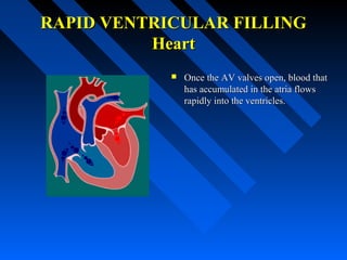 RAPID VENTRICULAR FILLINGRAPID VENTRICULAR FILLING
HeartHeart
 Once the AV valves open, blood thatOnce the AV valves open, blood that
has accumulated in the atria flowshas accumulated in the atria flows
rapidly into the ventricles.rapidly into the ventricles.
 
