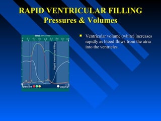 RAPID VENTRICULAR FILLINGRAPID VENTRICULAR FILLING
Pressures & VolumesPressures & Volumes
 Ventricular volume (white) increasesVentricular volume (white) increases
rapidly as blood flows from the atriarapidly as blood flows from the atria
into the ventricles.into the ventricles.
 