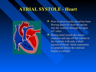 ATRIAL SYSTOLE - HeartATRIAL SYSTOLE - Heart
 Prior to atrial systole, blood has beenPrior to atrial systole, blood has been
flowing passively from the atriumflowing passively from the atrium
into the ventricle through the openinto the ventricle through the open
AV valve.AV valve.
 During atrial systole the atriumDuring atrial systole the atrium
contracts and tops off the volume incontracts and tops off the volume in
the ventricle with only a smallthe ventricle with only a small
amount of blood. Atrial contractionamount of blood. Atrial contraction
is complete before the ventricleis complete before the ventricle
begins to contract.begins to contract.
 