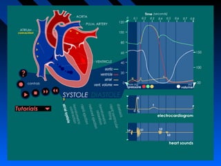 Cardiac cycle Detailed
