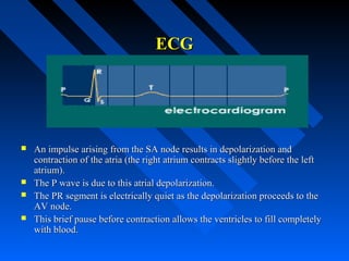 ECGECG
 An impulse arising from the SA node results in depolarization andAn impulse arising from the SA node results in depolarization and
contraction of the atria (the right atrium contracts slightly before the leftcontraction of the atria (the right atrium contracts slightly before the left
atrium).atrium).
 The P wave is due to this atrial depolarization.The P wave is due to this atrial depolarization.
 The PR segment is electrically quiet as the depolarization proceeds to theThe PR segment is electrically quiet as the depolarization proceeds to the
AV node.AV node.
 This brief pause before contraction allows the ventricles to fill completelyThis brief pause before contraction allows the ventricles to fill completely
with blood.with blood.
 