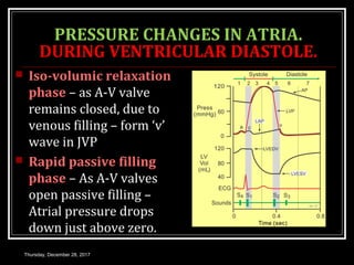 PRESSURE CHANGES IN ATRIA.
DURING VENTRICULAR DIASTOLE.
 Iso-volumic relaxation
phase – as A-V valve
remains closed, due to
venous filling – form ‘v’
wave in JVP
 Rapid passive filling
phase – As A-V valves
open passive filling –
Atrial pressure drops
down just above zero.
Thursday, December 28, 2017
 