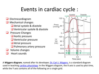 Events in cardiac cycle :
 Electrocardiogram
 Mechanical changes
 Atrial systole & diastole
 Ventricular systole & diastole
 Pressure Changes
 Aortic pressure
 Ventricular pressure
 Atrial pressure
 Pulmonary artery pressure
 Volume changes
 Heart sounds
A Wiggers diagram, named after its developer, Dr. Carl J. Wiggers, is a standard diagram
used in teaching cardiac physiology. In the Wiggers diagram, the X axis is used to plot time,
while the Y axis contains all of the following on a single grid.
 