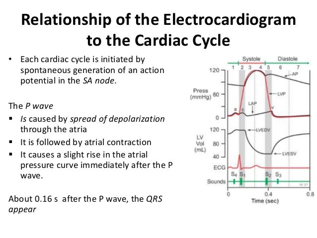 Cardiac cycle made easy