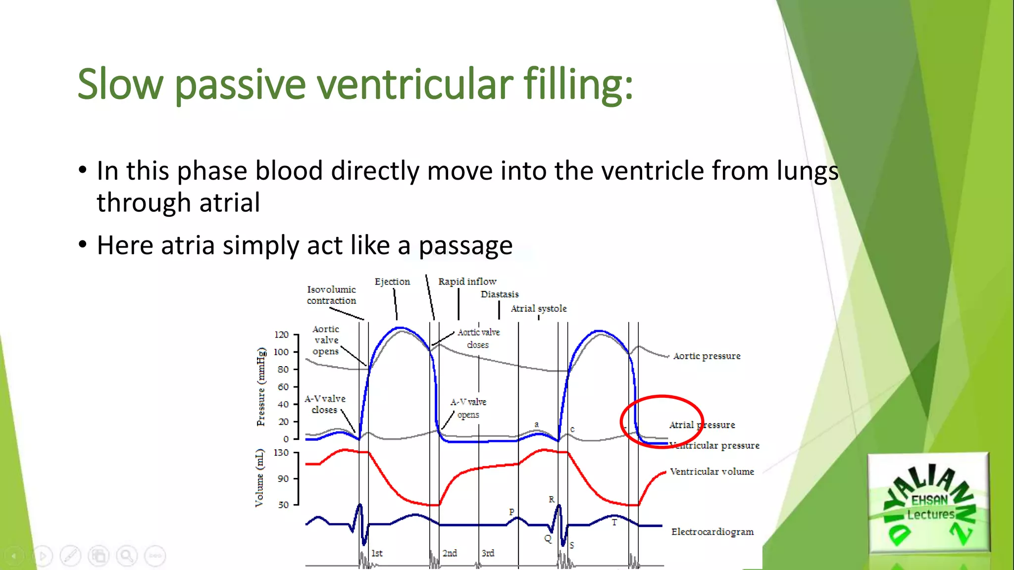 Cardiac cycle | PPTX