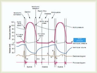 Cardiac cycle (The Guyton and Hall physiology) | PPTX