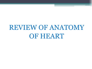 REVIEW OF ANATOMY
OF HEART
 