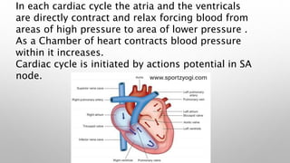 In each cardiac cycle the atria and the ventricals
are directly contract and relax forcing blood from
areas of high pressu...