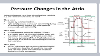 HUMAN CARDIAC CYCLE .presentation cardiology | PPTX