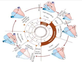 CARDIAC CYCLE AND EVENTS IN CARDIAC CYCLE | PPTX