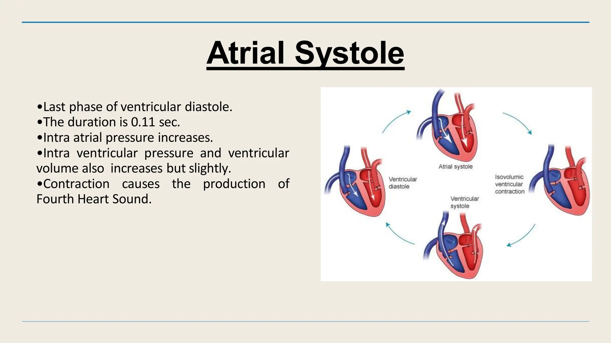 Cardiac cycle of heart in physiology pdf | PDF