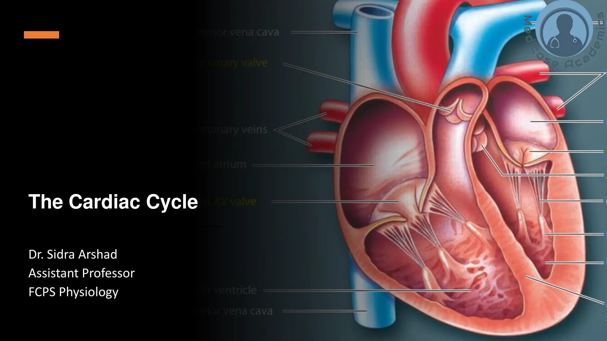 The Events of Cardiac Cycle - Wigger's Diagram | PDF