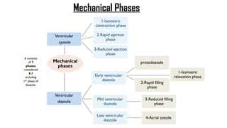 Mechanical Phases
 