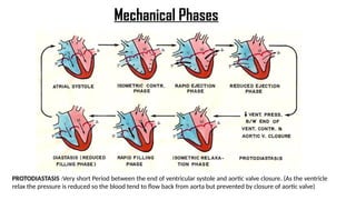 Mechanical Phases
PROTODIASTASIS :Very short Period between the end of ventricular systole and aortic valve closure. (As the ventricle
relax the pressure is reduced so the blood tend to flow back from aorta but prevented by closure of aortic valve)
 