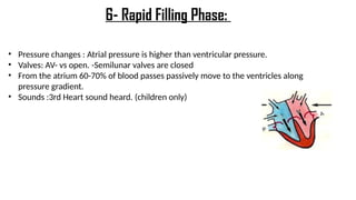 • Pressure changes : Atrial pressure is higher than ventricular pressure.
• Valves: AV- vs open. -Semilunar valves are closed
• From the atrium 60-70% of blood passes passively move to the ventricles along
pressure gradient.
• Sounds :3rd Heart sound heard. (children only)
6- Rapid Filling Phase:
 