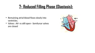 • Remaining atrial blood flows slowly into
ventricles.
• Valves : AV- vs still open - Semilunar valves
are closed
7- Reduced Filling Phase (Diastasis):
 