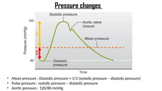 • Mean pressure : Diastolic pressure + 1/3 (systolic pressure – diastolic pressure)
• Pulse pressure : systolic pressure – diastolic pressure
• Aortic pressure : 120/80 mmHg
Pressure changes
 