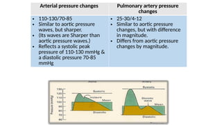 Arterial pressure changes Pulmonary artery pressure
changes
• 110-130/70-85
• Similar to aortic pressure
waves, but sharper.
• (Its waves are Sharper than
aortic pressure waves.)
• Reflects a systolic peak
pressure of 110-130 mmHg &
a diastolic pressure 70-85
mmHg
• 25-30/4-12
• Similar to aortic pressure
changes, but with difference
in magnitude.
• Differs from aortic pressure
changes by magnitude.
 
